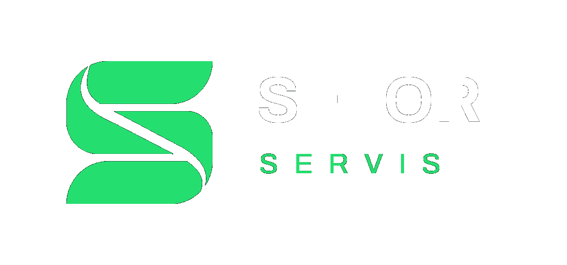 Setori Servis
